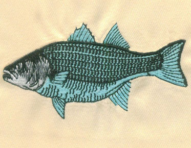 embroidery digitizing fish